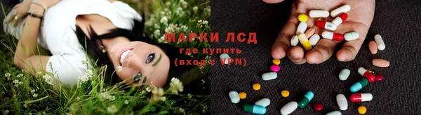 прущие грибы Пересвет