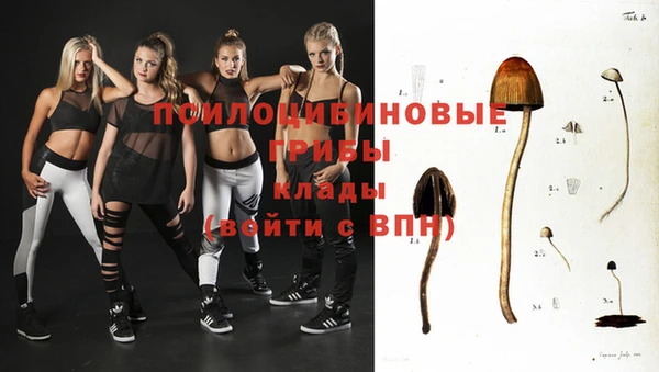 прущие грибы Пересвет