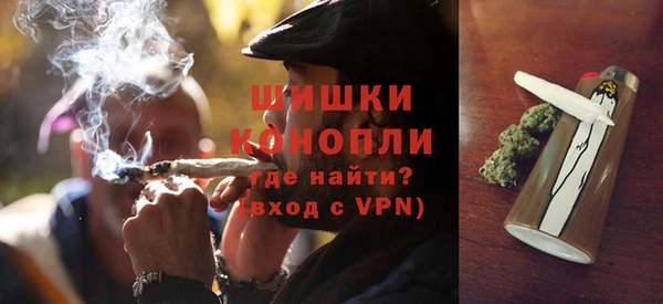 сатива Пестово