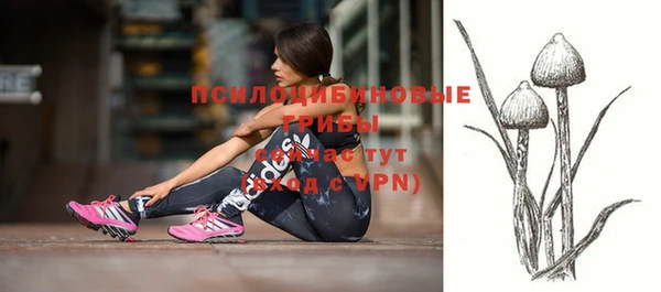 бошки Покровск