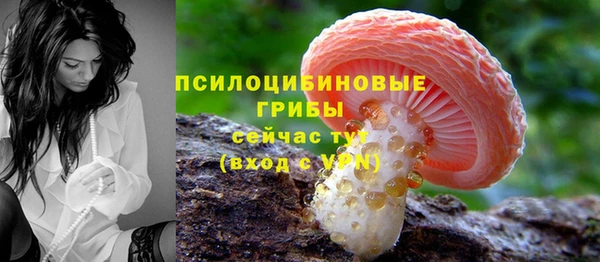 сатива Пестово