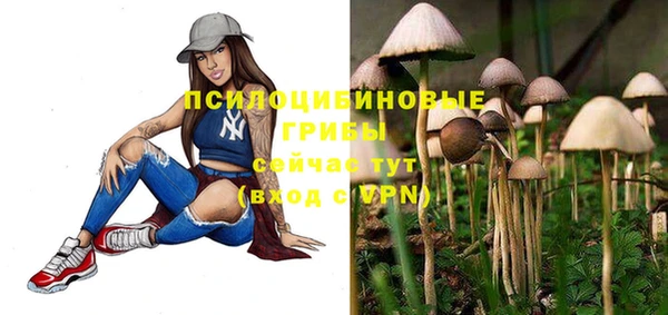 прущие грибы Пересвет