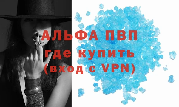 прущие грибы Пересвет