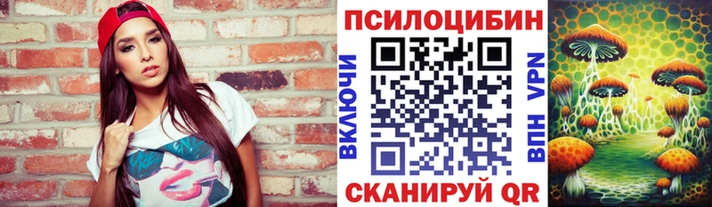 Галлюциногенные грибы мицелий  Купить закладки  Шилка