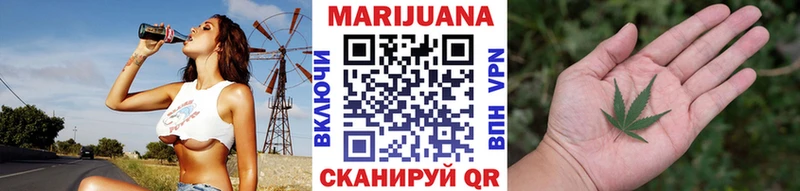 Канабис план  Купить где  Шилка 